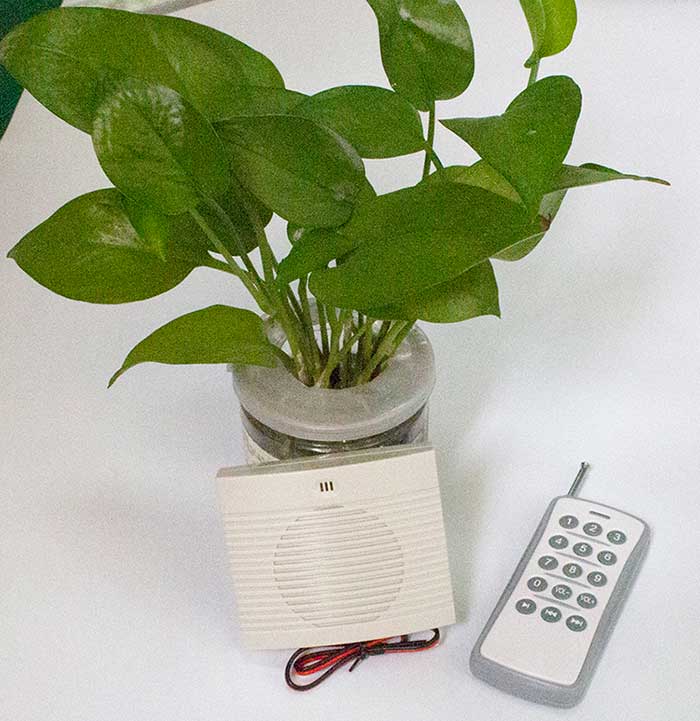 无线遥浚？？？？丶苹